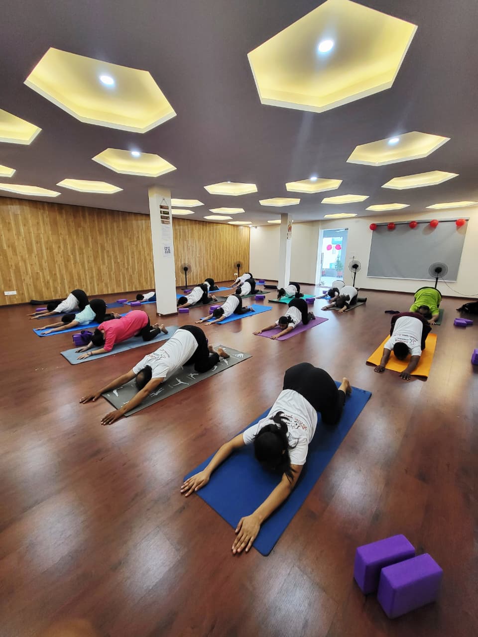 whatsapp image 2025 10 05 at 3.01.05 am